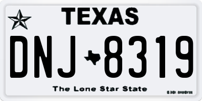 TX license plate DNJ8319