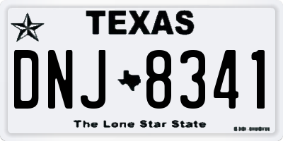 TX license plate DNJ8341