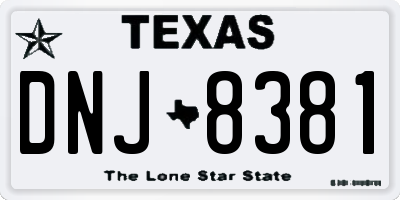TX license plate DNJ8381