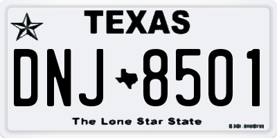 TX license plate DNJ8501