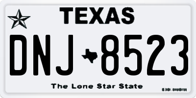 TX license plate DNJ8523