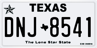 TX license plate DNJ8541