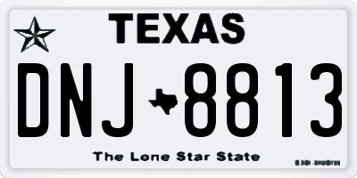 TX license plate DNJ8813