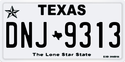 TX license plate DNJ9313