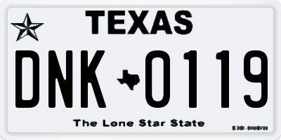 TX license plate DNK0119