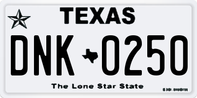 TX license plate DNK0250