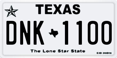 TX license plate DNK1100