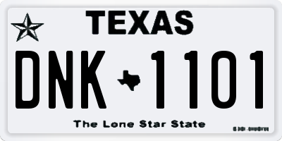 TX license plate DNK1101
