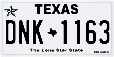 TX license plate DNK1163