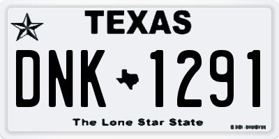 TX license plate DNK1291