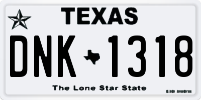 TX license plate DNK1318