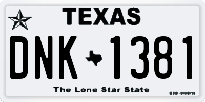 TX license plate DNK1381