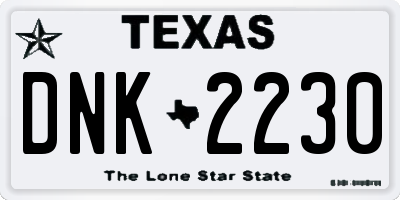 TX license plate DNK2230