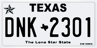 TX license plate DNK2301