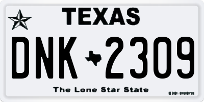 TX license plate DNK2309
