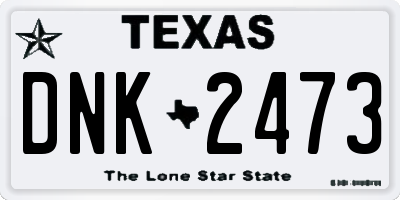TX license plate DNK2473