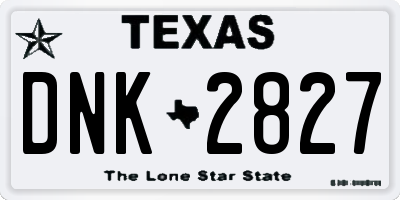 TX license plate DNK2827