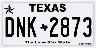 TX license plate DNK2873