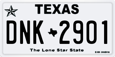 TX license plate DNK2901