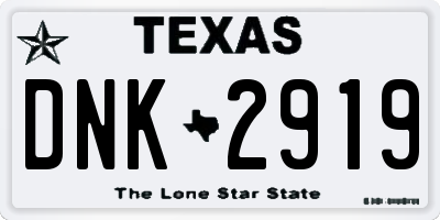 TX license plate DNK2919