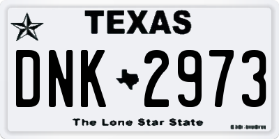 TX license plate DNK2973