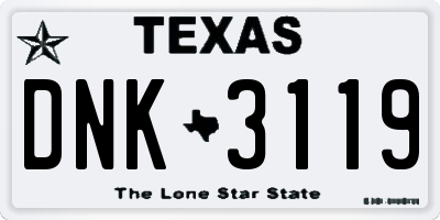 TX license plate DNK3119