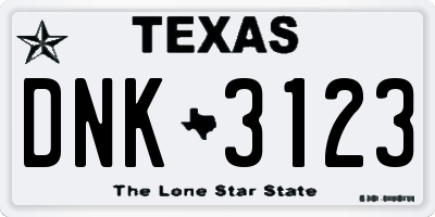 TX license plate DNK3123