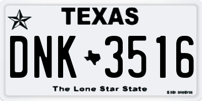 TX license plate DNK3516
