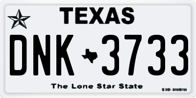 TX license plate DNK3733