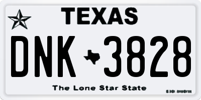 TX license plate DNK3828