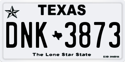 TX license plate DNK3873