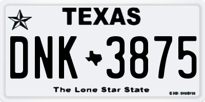 TX license plate DNK3875