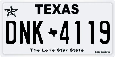 TX license plate DNK4119