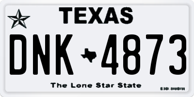 TX license plate DNK4873