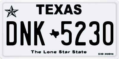 TX license plate DNK5230