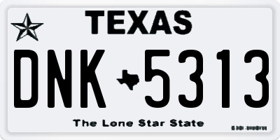 TX license plate DNK5313