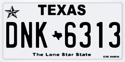 TX license plate DNK6313