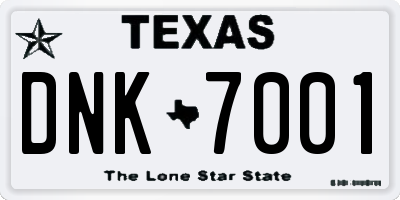 TX license plate DNK7001