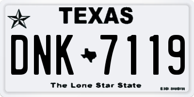 TX license plate DNK7119
