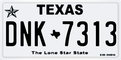 TX license plate DNK7313