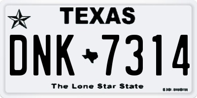 TX license plate DNK7314