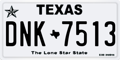 TX license plate DNK7513