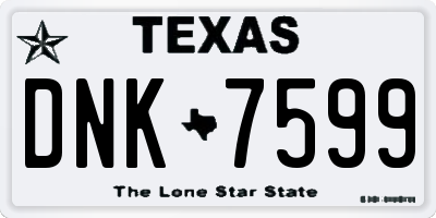 TX license plate DNK7599