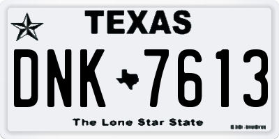 TX license plate DNK7613