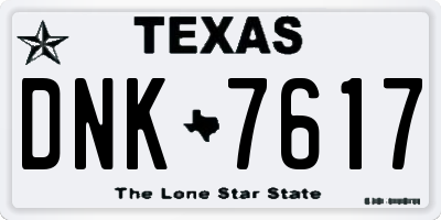 TX license plate DNK7617