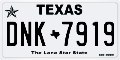 TX license plate DNK7919