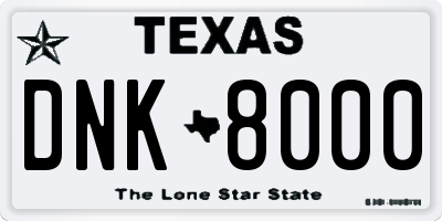 TX license plate DNK8000
