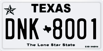 TX license plate DNK8001