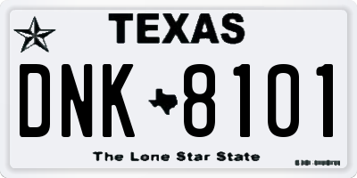 TX license plate DNK8101