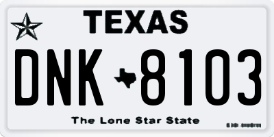 TX license plate DNK8103